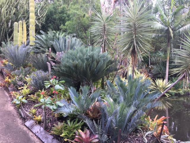 Ancient Gardens Guesthouse & Botanical Gardens Eudlo Екстер'єр фото