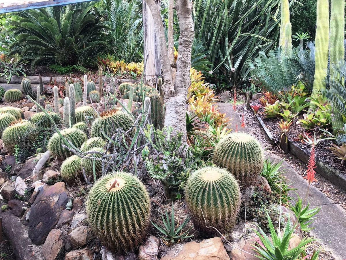 Ancient Gardens Guesthouse & Botanical Gardens Eudlo Екстер'єр фото